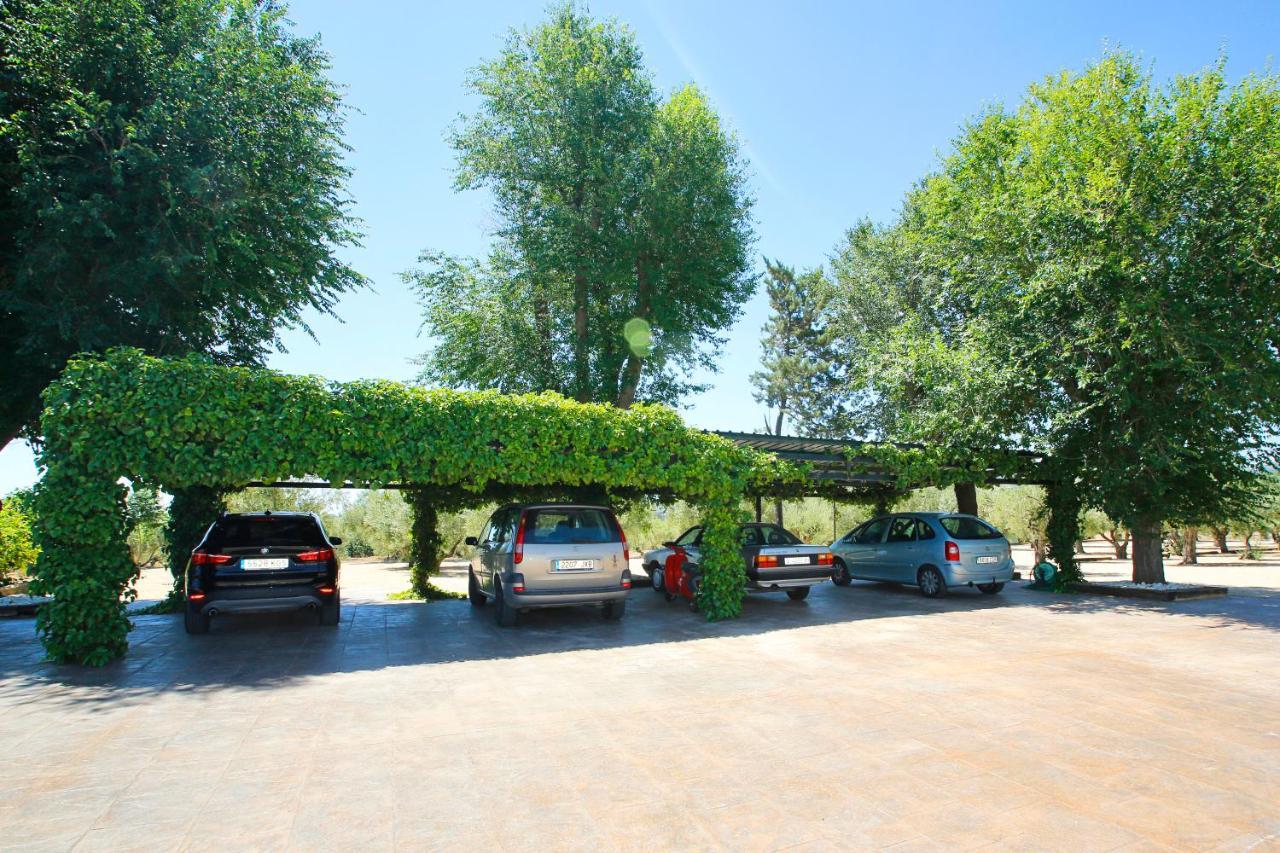 Senia Tomaset III Villa Onil Exterior photo